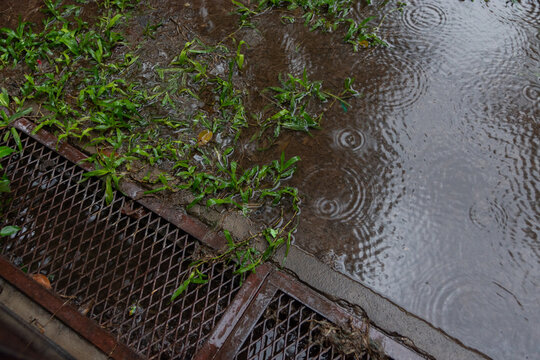 lluvia torrencial sobre parque