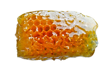 Bee honeycomb