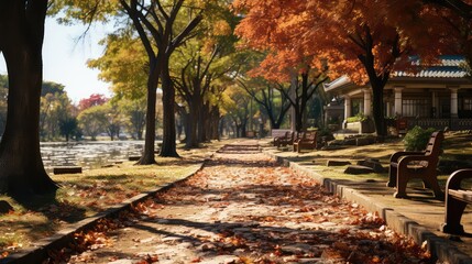 City park with paths in autumn day UHD Wallpaper