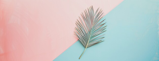 Tropical Palm Leaf on Pastel Pink and Blue Background
