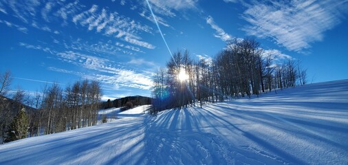 winter landscape with snow