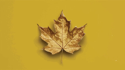 Golden Autumn Maple Leaf A Singular Illustration Against a White Background