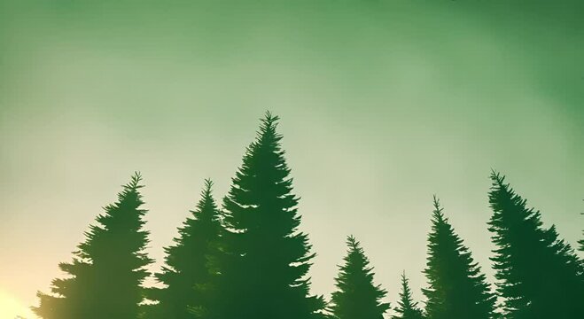illustration of a fir tree on a green background