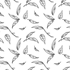 Seamless pattern of leaves. Leaf vector illustration.