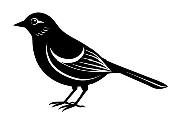 bird vector illustration