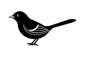 bird vector illustration