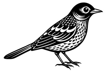 bird vector illustration