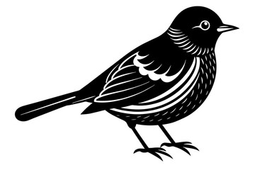 bird vector illustration