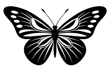 butterfly vector illustration