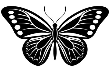 butterfly vector illustration