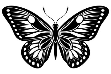 butterfly vector illustration