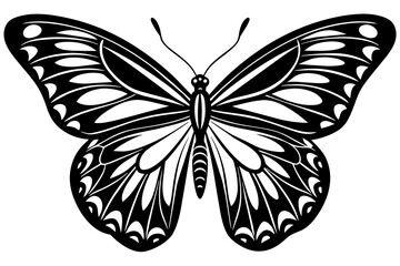 butterfly vector illustration