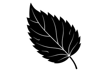 leaf silhouette vector illustration