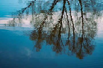 mesmerizing scene lake or pond with wavy reflections tree branches in rippling water, blue sky...