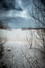 Trees on a sand quarry. Thaw on the sands. Mystical place. Dried trees. Leaves on the sand. Gray voluminous and dense sky above the quarry and trees