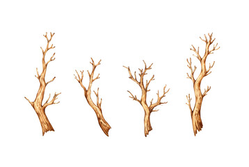 Watercolor illustration set of dry brown trees. The graphic element of a botanical drawing is trees without leaves. Isolated from the background. Natural decor from dry sprout.