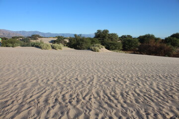 Fototapeta na wymiar Sand dunes landscape of northwestern Argentina