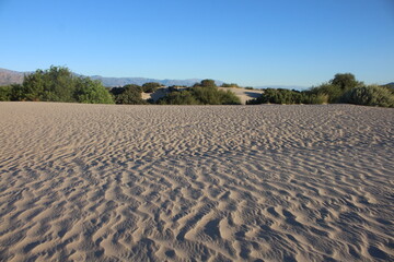 Sand dunes landscape of northwestern Argentina - obrazy, fototapety, plakaty