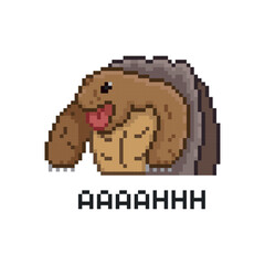 Turtle aahhh, pixel art meme