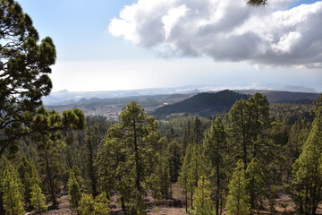 National Park El Teide Photography, Tenerife, Canary Island, Spain