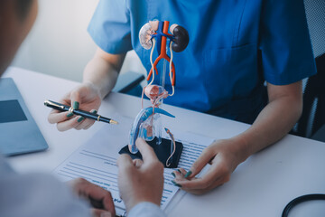 Doctor uses anatomical model to explain male urinary system. Model labeled with parts, doctor points and explains how they work together for urinary function, ensuring patient comprehension. - obrazy, fototapety, plakaty