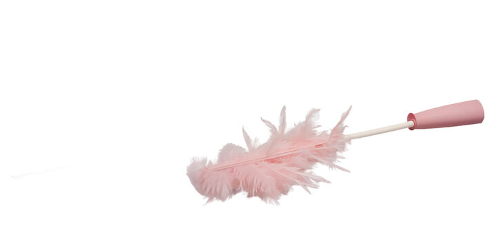 Pink feather duster Transparent Background Images 