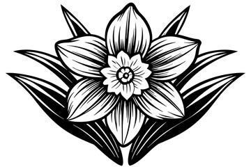 black and white flower