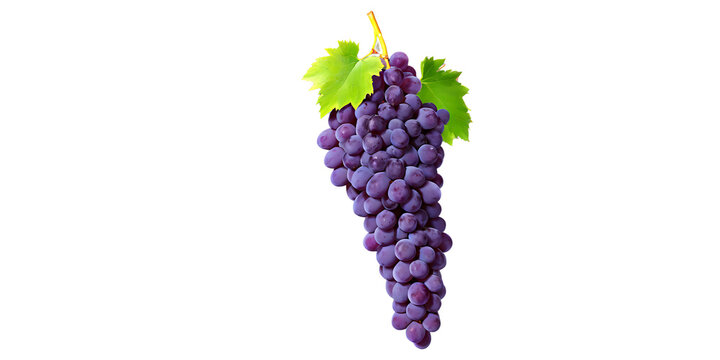Purple grape cluster Transparent Background Images