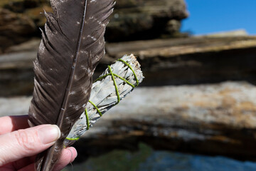 An image of a hand holding a white sage smudge stick with sacred smudge feather. 