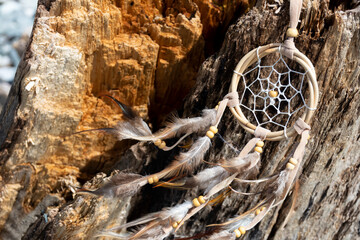 An image of a feathery dreamcatcher resting on old weathered driftwood. 