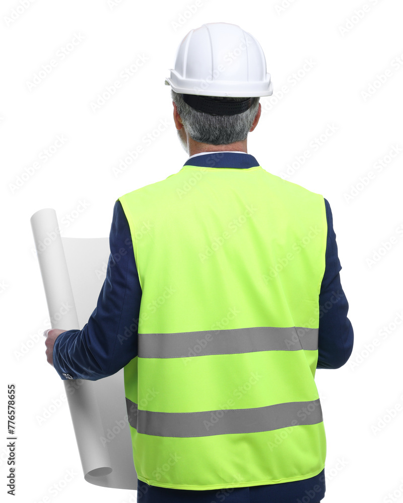 Wall mural architect in hard hat holding draft on white background, back view