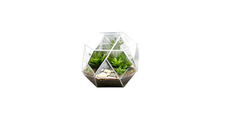 Silver geometric terrarium Transparent Background Images