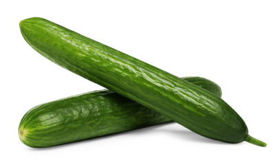 Two long fresh cucumbers isolated on white