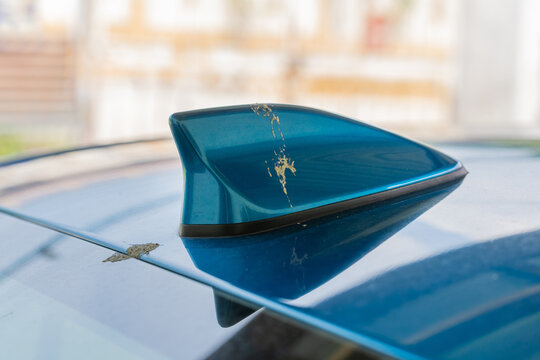 Close-up view of the bird poop dropping on the blue car antenna.
