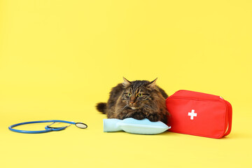 Cute cat with medical supplies on yellow background © Pixel-Shot
