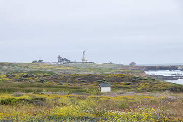 Piedras Blancas Light Station, California