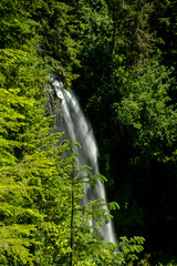 Denman Falls through Forests of Mount Rainier