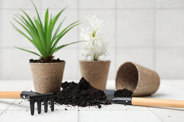 Composition with gardening tools, hyacinth flower and soil on table against white background