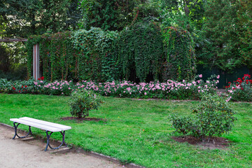 Peaceful bench surrounded by vibrant flowers in a serene park setting