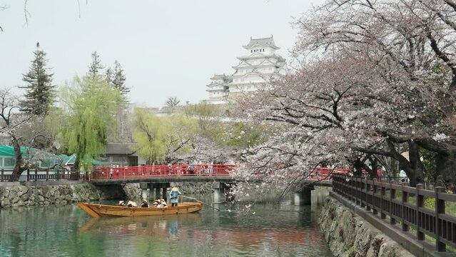 Tourists take a boat tour of Himeji castle during cherry blossom season in Himeji, Japan. Sakura flower. Cherry blossoms and castle in Himeji, Japan. Cinematic color grading of Japan Video Slow motion