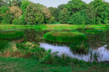 Serene lake in a lush green forest with vibrant foliage and a tranquil atmosphere