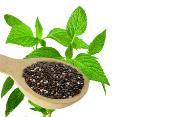 chia seed in wooden spoon with chia plant leaves on transparent background,png format 
