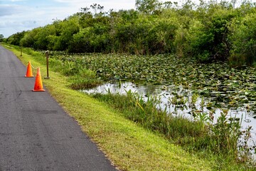 The Everglades - The area near Bobcat Trail on the Miami side of the Everglades