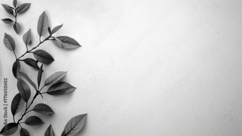 Poster monochrome botanical leaf design with texture - elegant monochrome image highlighting the delicate t