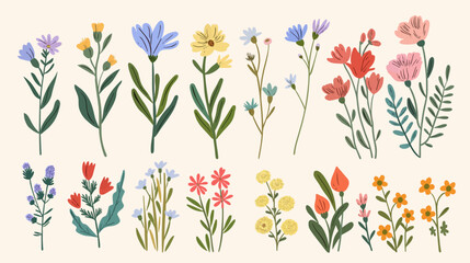 Hand drawn abstract wildflowers flowers and leaves flat icons set. Floral design with ornaments. Spring flowers blossom. Beautiful bouquet. Color isolated illustrations