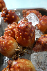 Sea squirts, Korean food