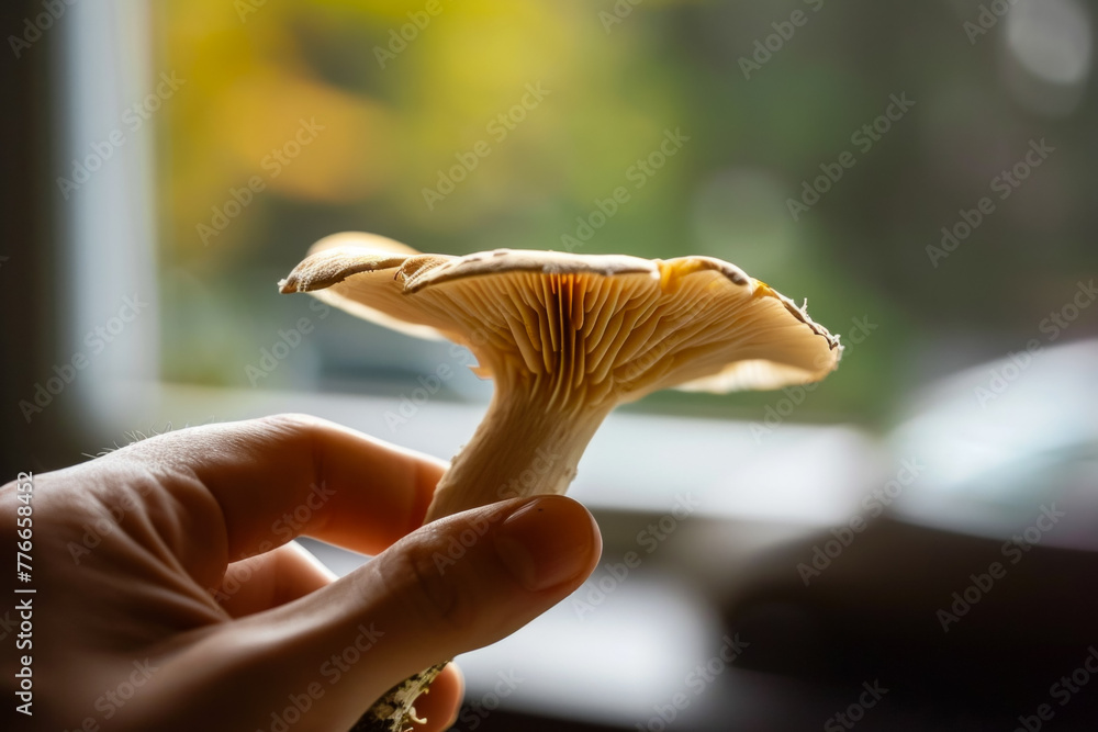 Poster mushroom in hand. backdrop with selective focus and copy space