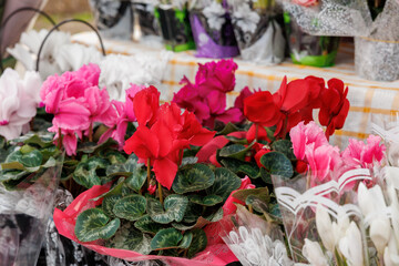 A table full of flowers with a variety of colors including pink, white, and red