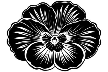 black and white flowers