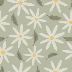 Daisy Seamless Pattern